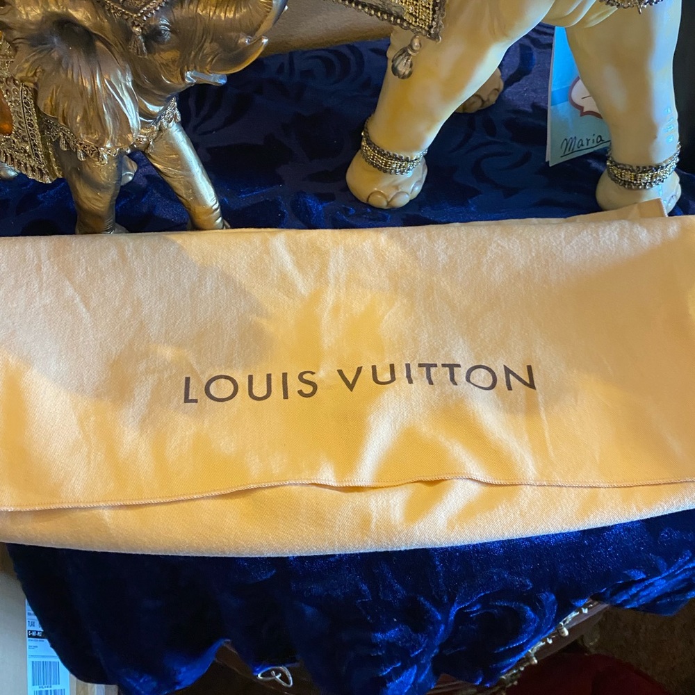 Lv dust bag🌸🌸